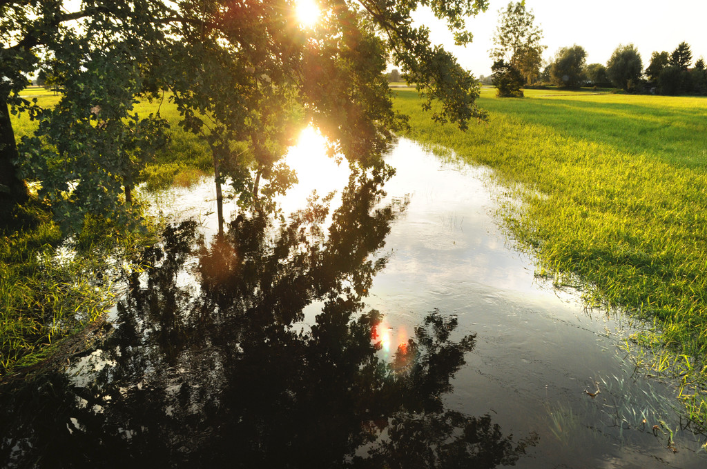 Erlach Hard Wasser 14-09-2012 30_jpg-1347615262