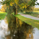 Erlach Hard Wasser 14-09-2012 32_jpg-1347615277