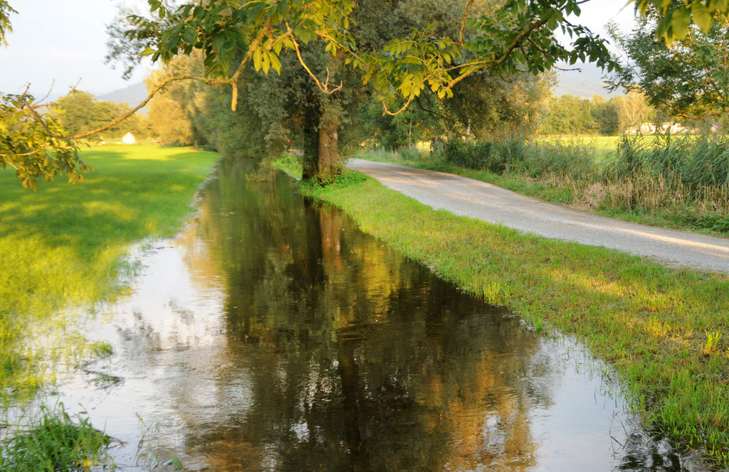 Erlach Hard Wasser 14-09-2012 32_jpg-1347615277