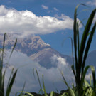 DAB0029-20120914.jpg