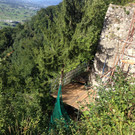 IMG_2860_JPG-1347616471