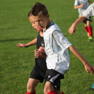 IMG_9377aa.jpg