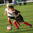 IMG_9453aa.jpg