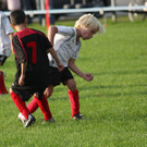IMG_9465aa.jpg