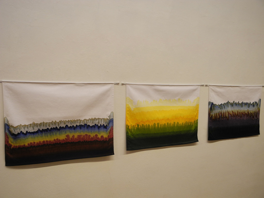 DSCN9341_JPG-1347627654