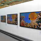 normal_14092012fmt_futura_die_neuheiten_mw_037.JPG