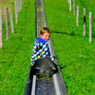 BK_Sommerrodelbahn Laterns 4_jpg-1347653566