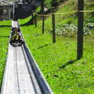 BK_Sommerrodelbahn Laterns 13_jpg-1347653657
