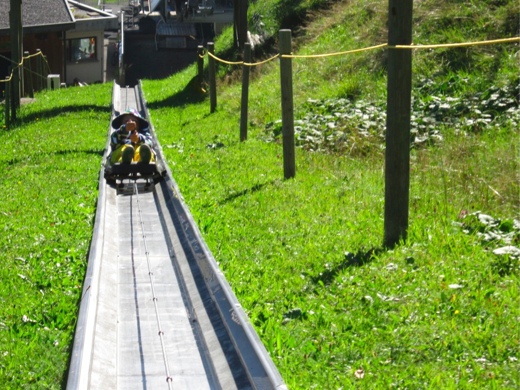 BK_Sommerrodelbahn Laterns 13_jpg-1347653657