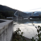 Bilder vom Fundort