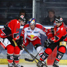 GEPA-14091268003.jpg