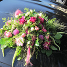 IMG_4876_JPG-1347694824