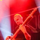 12044556.jpg