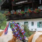 15092012almde01003aktinews__40_.JPG