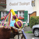 15092012almde01003aktinews__42_.JPG