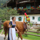 15092012almde01003aktinews__33_.JPG