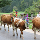 15092012almde01003aktinews__37_.JPG