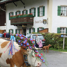 15092012almde01003aktinews__43_.JPG