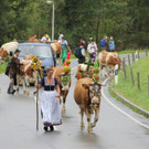 15092012almde01003aktinews__52_.JPG