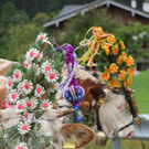 15092012almde01003aktinews__47_.JPG