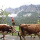 15092012almde01003aktinews__9_.JPG