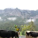 15092012almde01003aktinews__14_.JPG