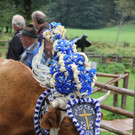 15092012almde01003aktinews__26_.JPG