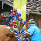 15092012almde01003aktinews__19_.JPG