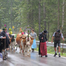 15092012almde01003aktinews.JPG