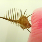 116_0925_JPG-1347739417