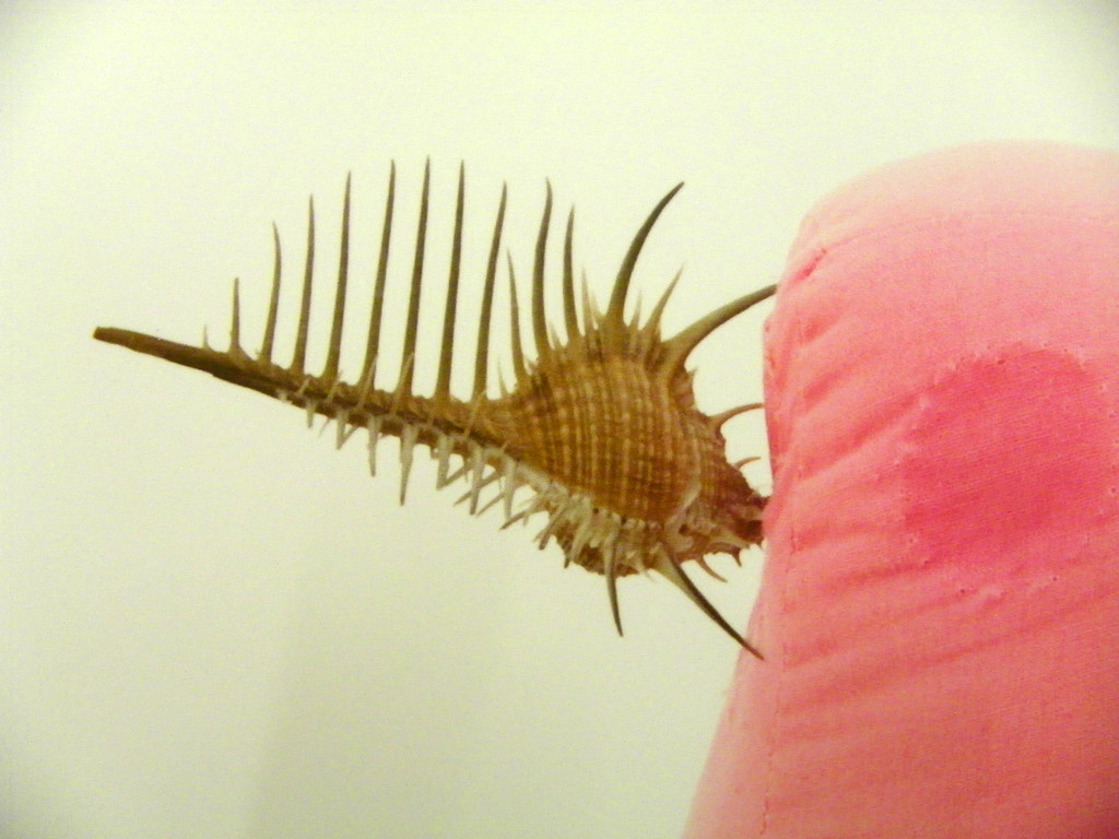 116_0925_JPG-1347739417