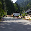 Alpabtrieb Lün 2012