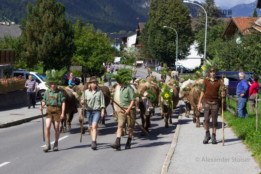 Alpabtrieb12-005.jpg