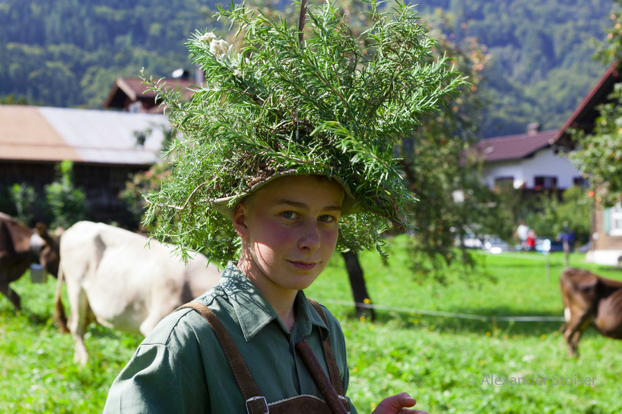 Alpabtrieb12-010.jpg