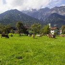 Alpabtrieb12-016.jpg