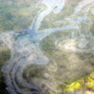 116_0616_JPG-1347749946