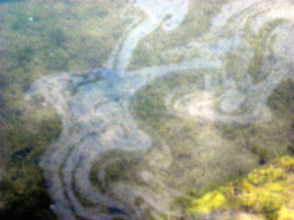 116_0616_JPG-1347749946