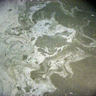 116_0662_JPG-1347750031