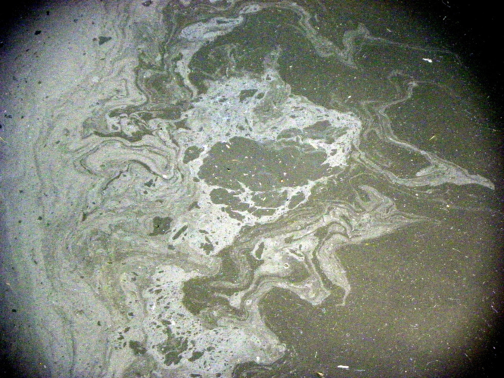 116_0662_JPG-1347750031