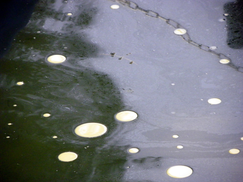 116_0663_JPG-1347750037