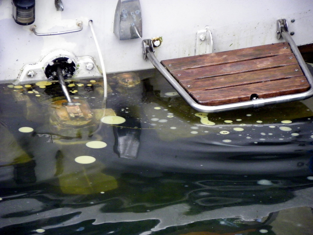 116_0665_JPG-1347750042