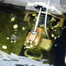 116_0672_JPG-1347750068