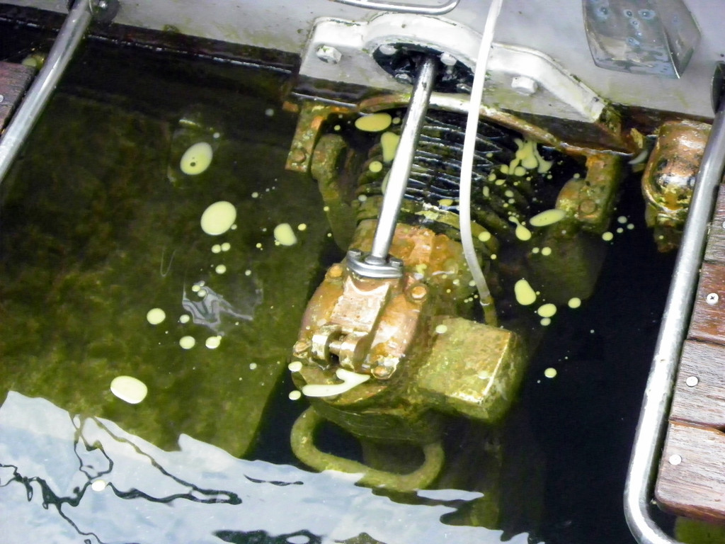 116_0672_JPG-1347750068