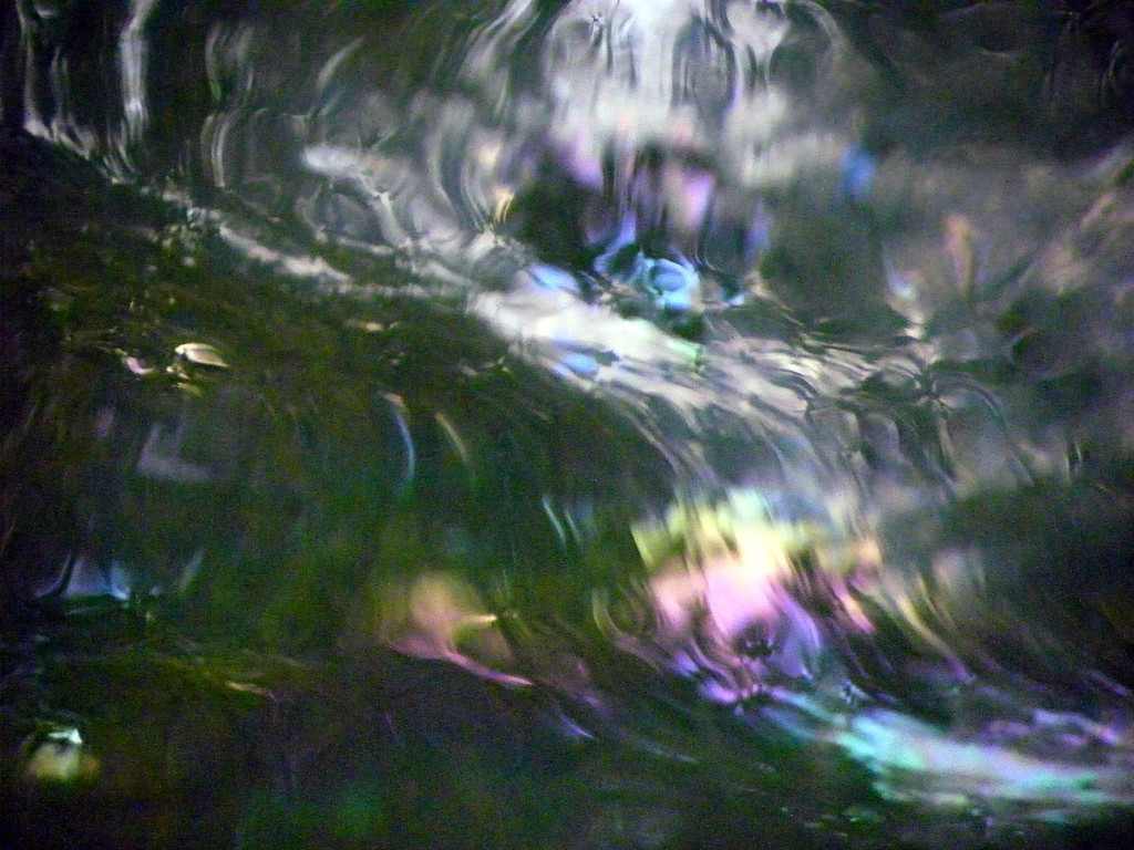 116_0674_JPG-1347750075