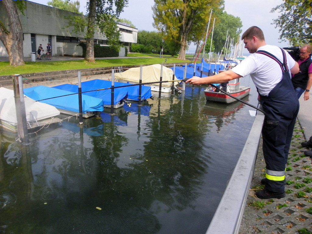 116_0687_JPG-1347750088