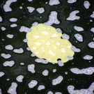 116_0691_JPG-1347750099