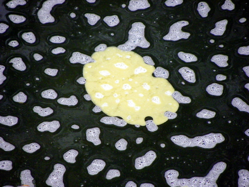 116_0691_JPG-1347750099