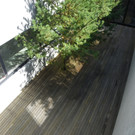 115_5361_JPG-1347750907