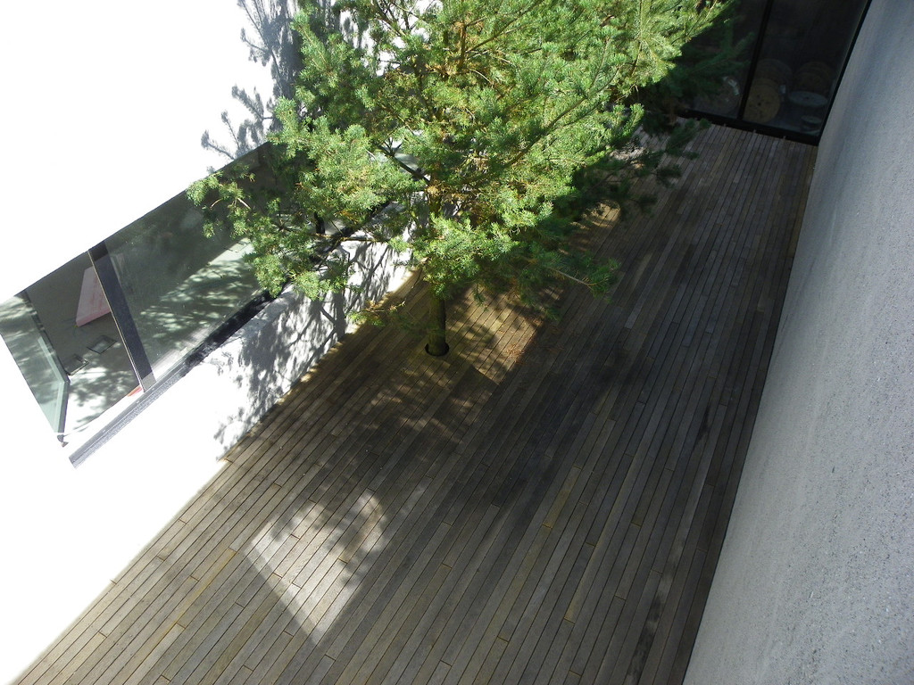 115_5361_JPG-1347750907