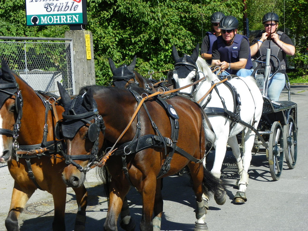 116_2018_JPG-1347751622